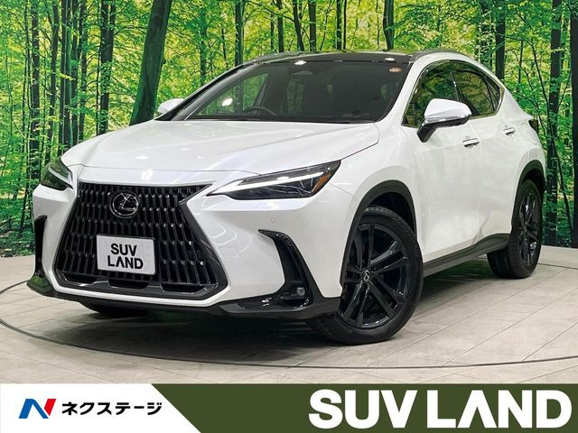 NX 350h バージョンL