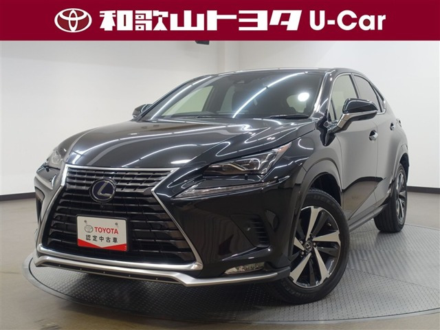 NX300hスパイス&シック