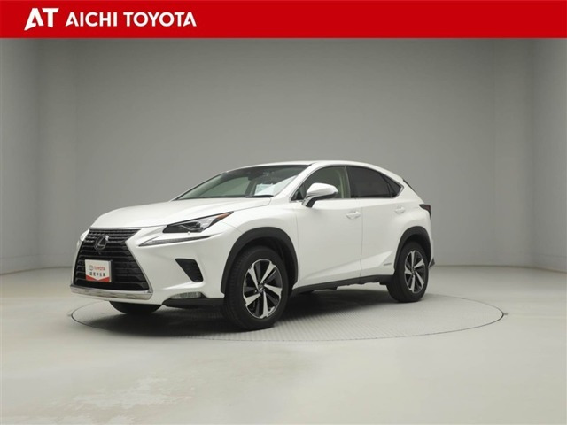 NX300h バージョンL 4WD