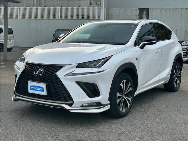 NX300h Fスポーツ