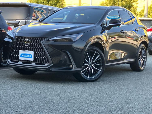 NX250 バージョンL