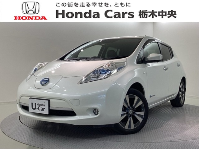 リーフ 30kWh G サンクス エディション 