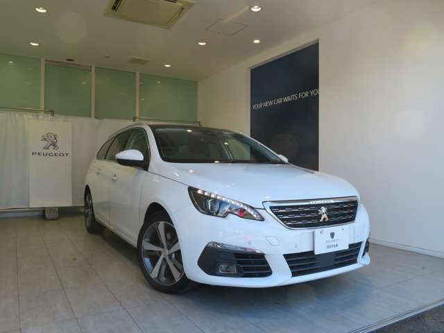 308SWアリュール スペシャルエディション