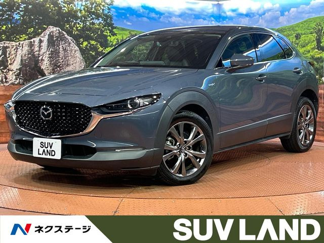 CX-302.0 X Lパッケージ