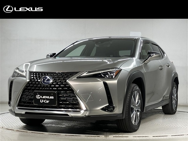 UX300e バージョンC