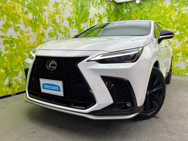 NX350h Fスポーツ