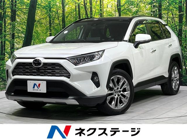 RAV4 2.0 G Zパッケージ 4WD （6BA-MXAA54）
