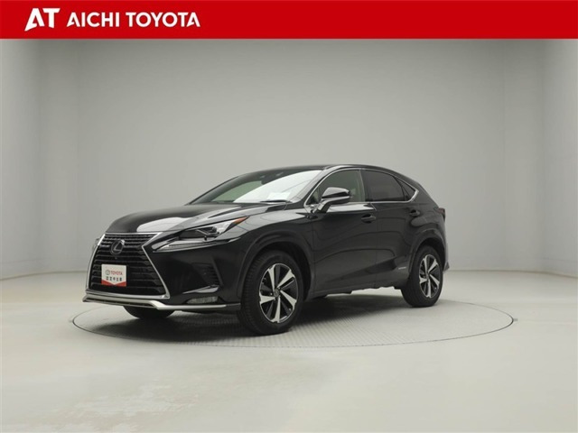 NX300hスパイス&シック