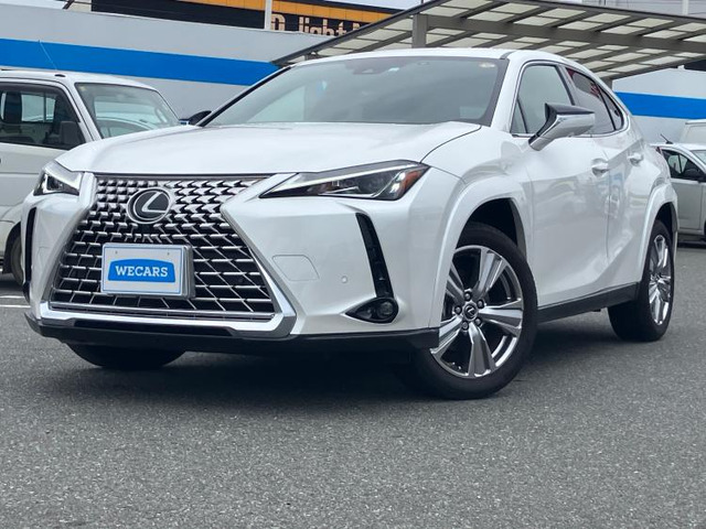 UX250h グレイスフル エクスプローラー