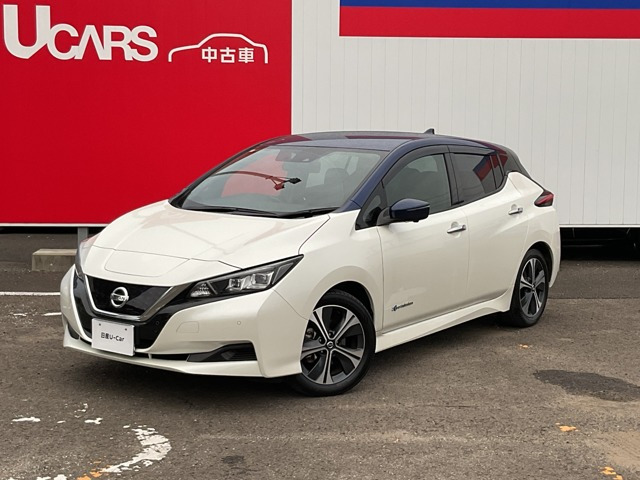 リーフ X Vセレクション