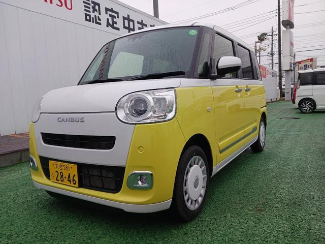 ムーヴキャンバス  ストライプス G