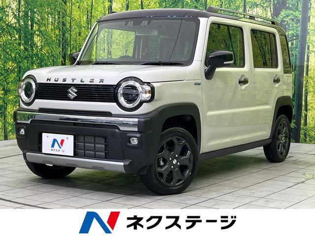 ハスラータフワイルド