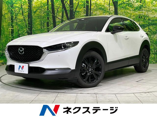 CX-302.0 20S ブラックトーンエディション