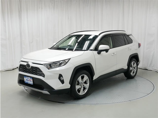 RAV4 2.0 G 4WD