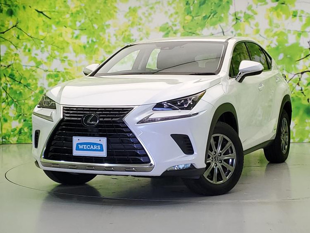 NX300h Iパッケージ