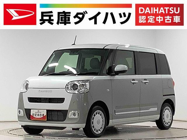 ムーヴキャンバス ストライプス G