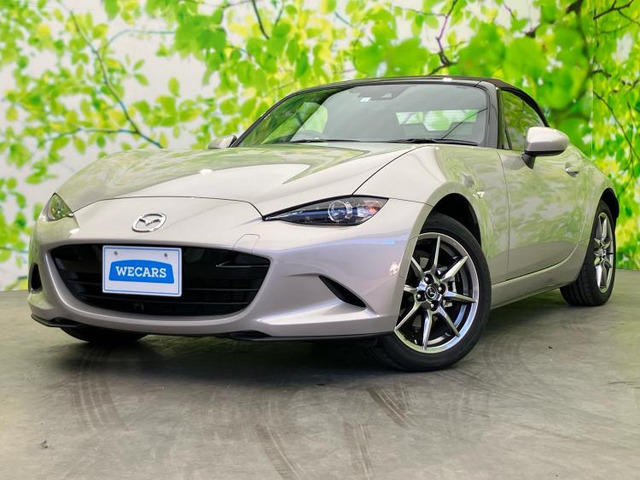 ロードスター1.5 ブラウン トップ