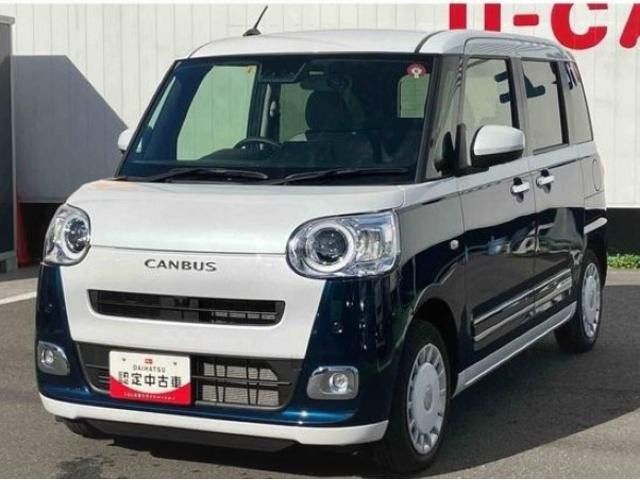 ムーヴキャンバス  ストライプス G