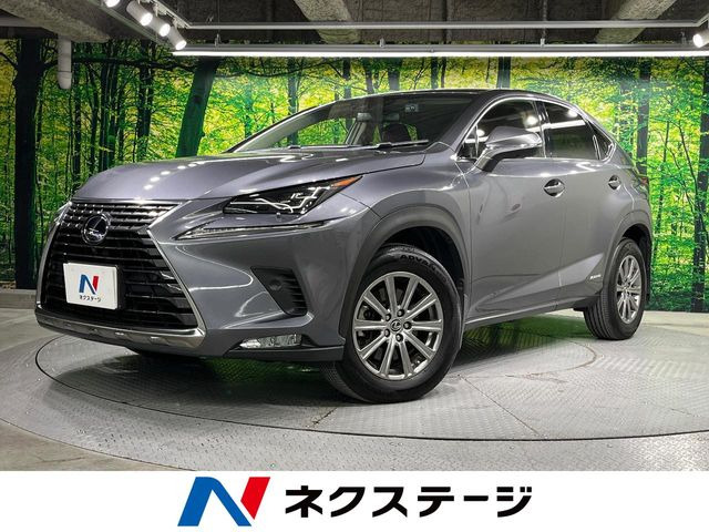 NX 300h Iパッケージ