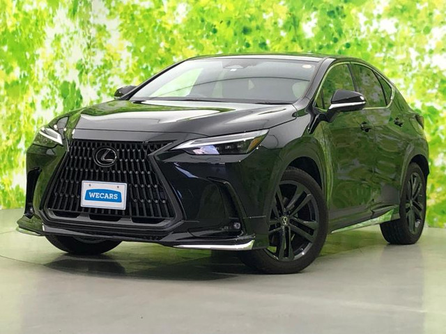 NX 250 バージョンL 