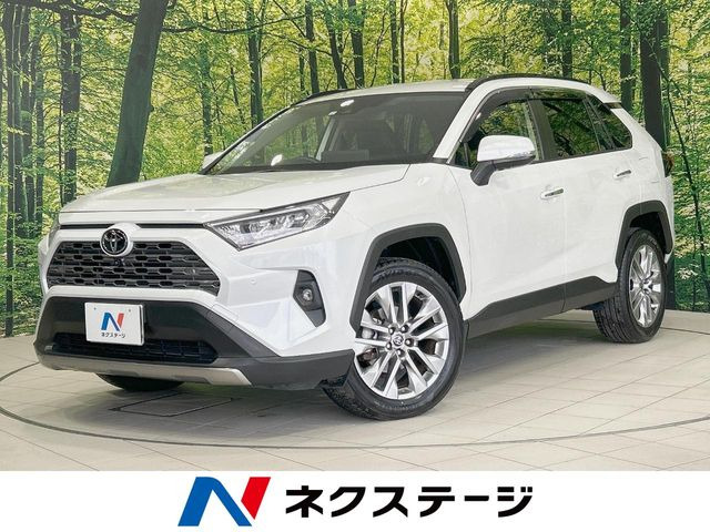 RAV4 2.0 G Zパッケージ 4WD （6BA-MXAA54）
