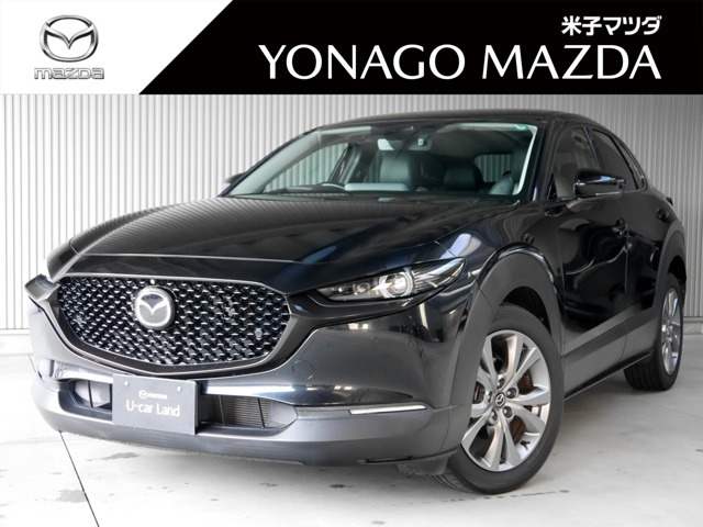 CX-302.0 20S Lパッケージ 4WD