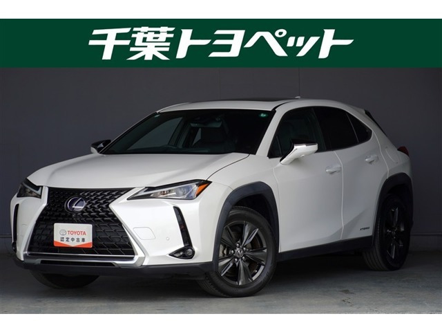 UX250hブラウン エディション