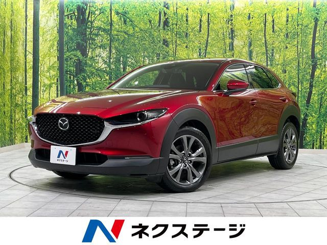 CX-302.0 X Lパッケージ