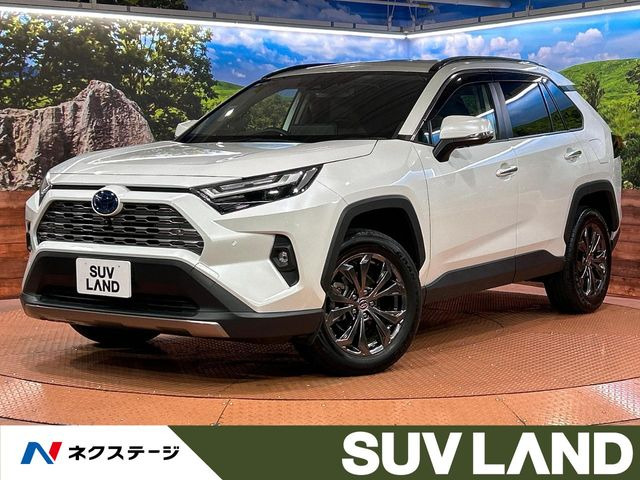 RAV4 2.5 ハイブリッド G E-Four 4WD （6AA-AXAH54）