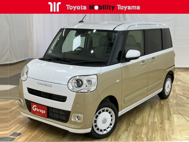 ムーヴキャンバス  ストライプス G