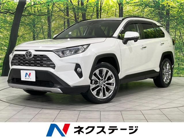 RAV4 2.0 G Zパッケージ 4WD （6BA-MXAA54）