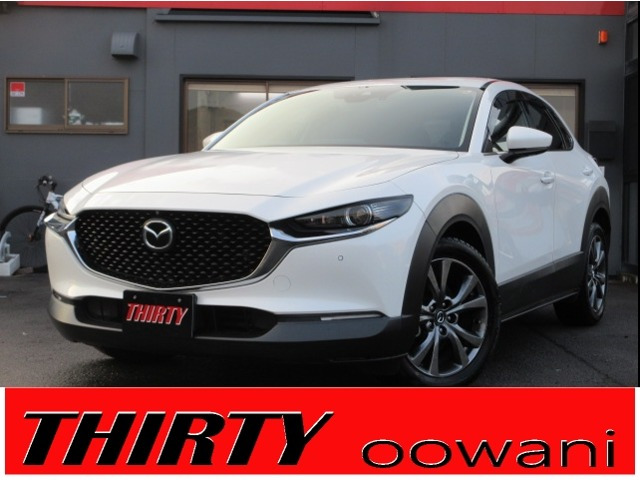 CX-302.0 X プロアクティブ ツーリングセレクション 4WD