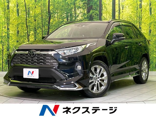 RAV4 2.0 G Zパッケージ 4WD （6BA-MXAA54）