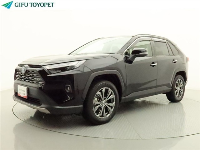 RAV4 2.5 ハイブリッド G E-Four 4WD （6AA-AXAH54）