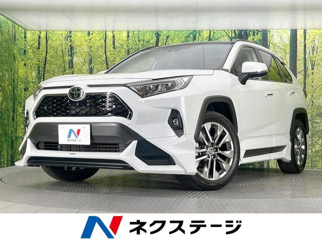 RAV4 2.0 G Zパッケージ 4WD （6BA-MXAA54）