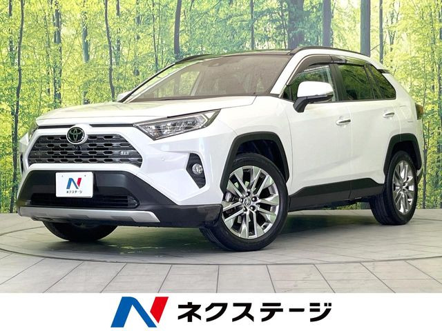 RAV4 2.0 G Zパッケージ 4WD （6BA-MXAA54）