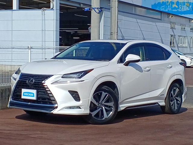 NX300h Iパッケージ