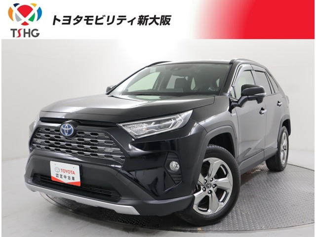 RAV4 2.5 ハイブリッド G E-Four 4WD （6AA-AXAH54）