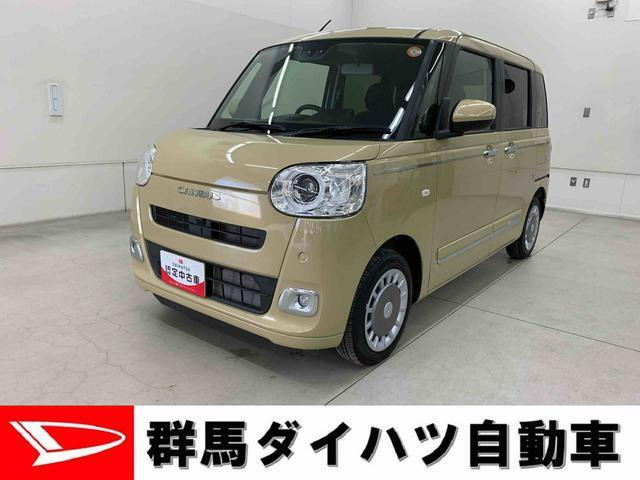 ムーヴキャンバス  セオリー G