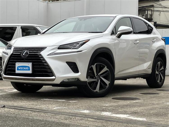 NX 300h Iパッケージ