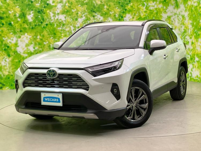 RAV42.5 ハイブリッド G E-Four 4WD