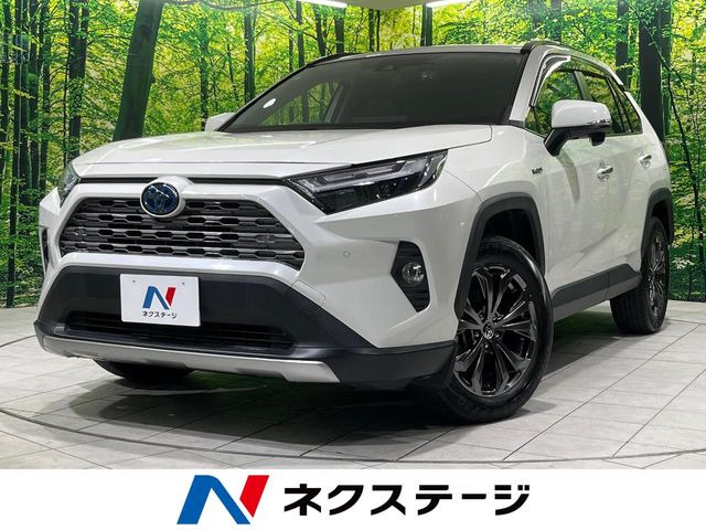 RAV4 2.5 ハイブリッド G E-Four 4WD （6AA-AXAH54）