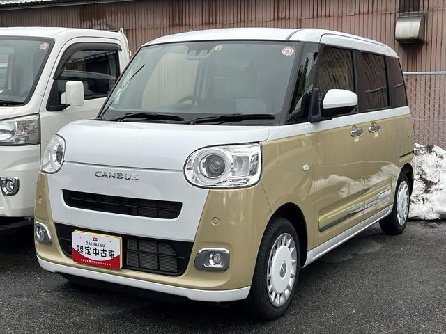 ムーヴキャンバス  ストライプス G