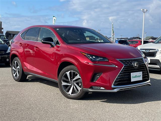 NX300h スパイス&シック 4WD本革シート