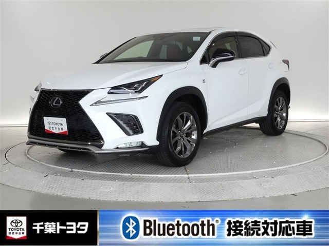 NX 300 Fスポーツ （3BA-AGZ10）