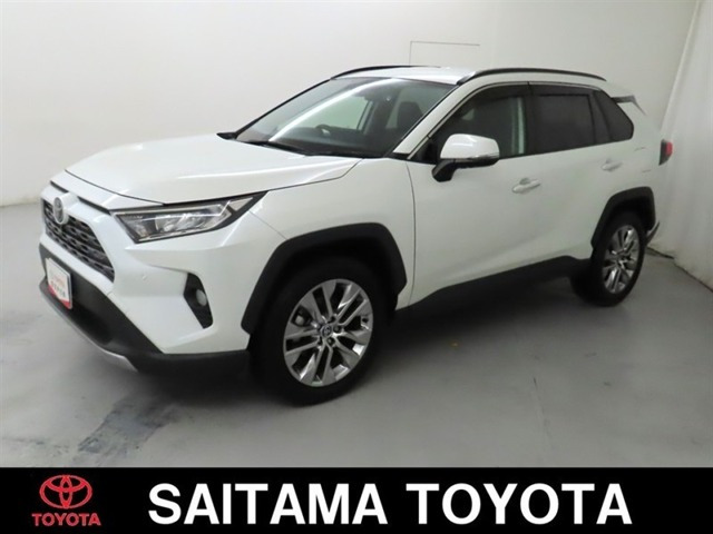 RAV4 2.0 G Zパッケージ 4WD