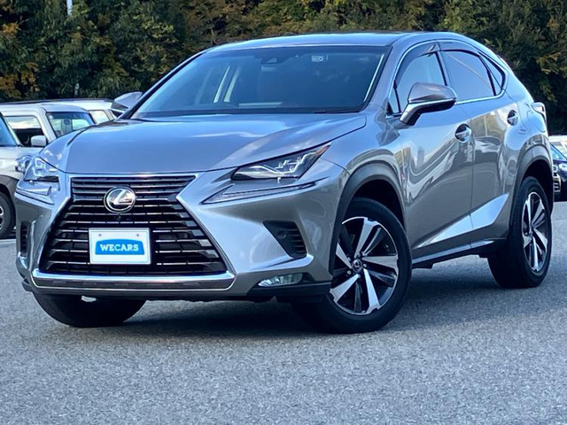 NX300 バージョンL