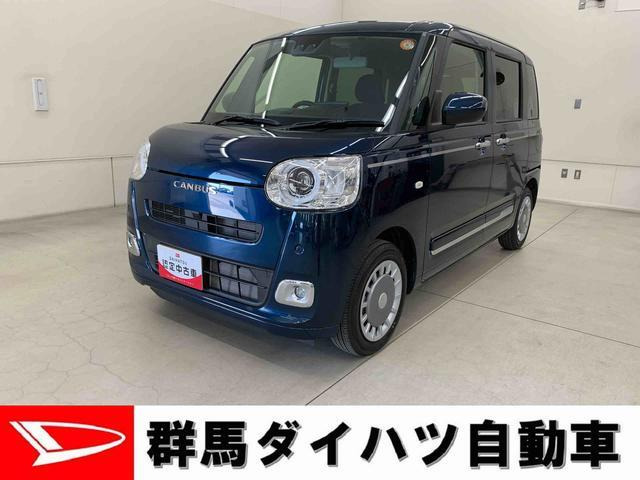 ムーヴキャンバス セオリー G