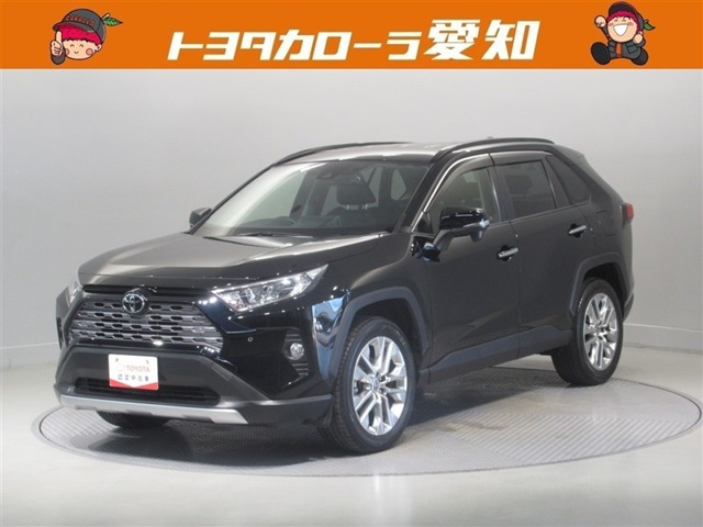 RAV4 2.0 G Zパッケージ 4WD（6BA-MXAA54）