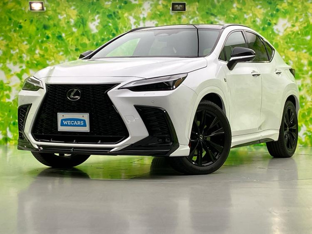 NX350h Fスポーツ